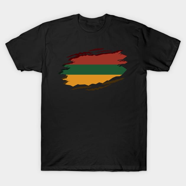 Black History Month T-Shirt Black Pride African American T-Shirt by Dr_Squirrel